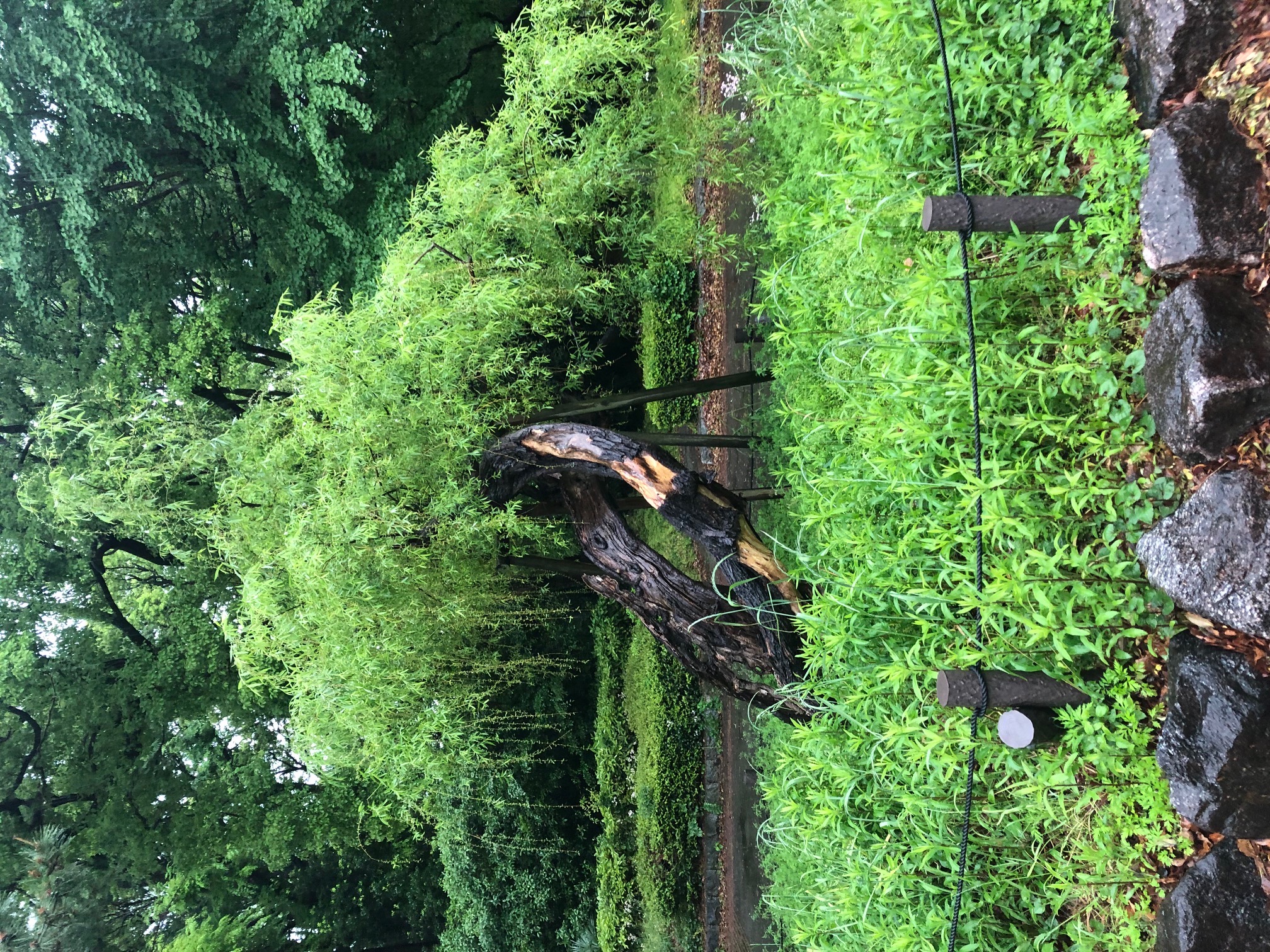 Season10-A Season10-A